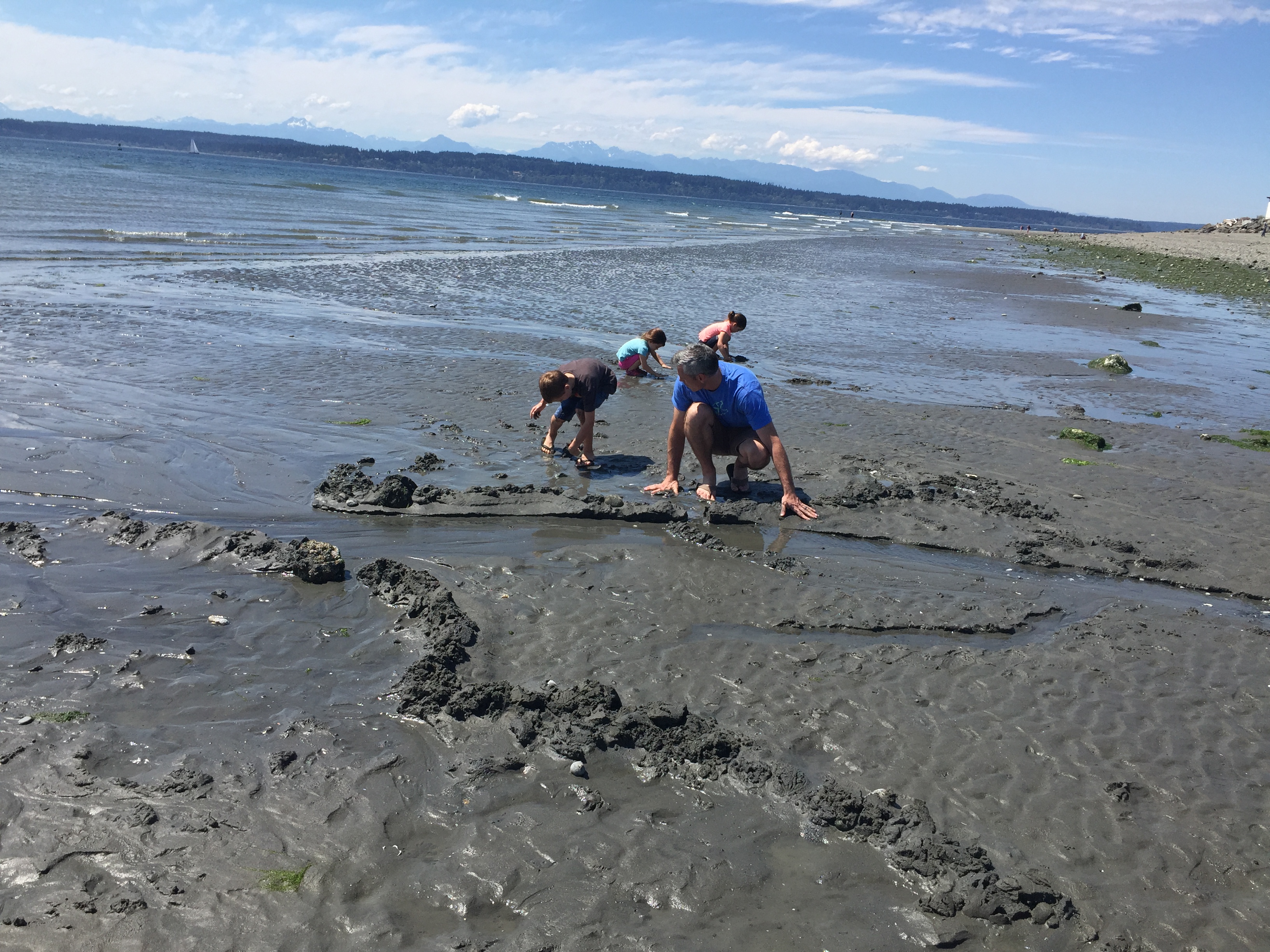 Family exploring the beach at Discovery Park in Seattle, Washington